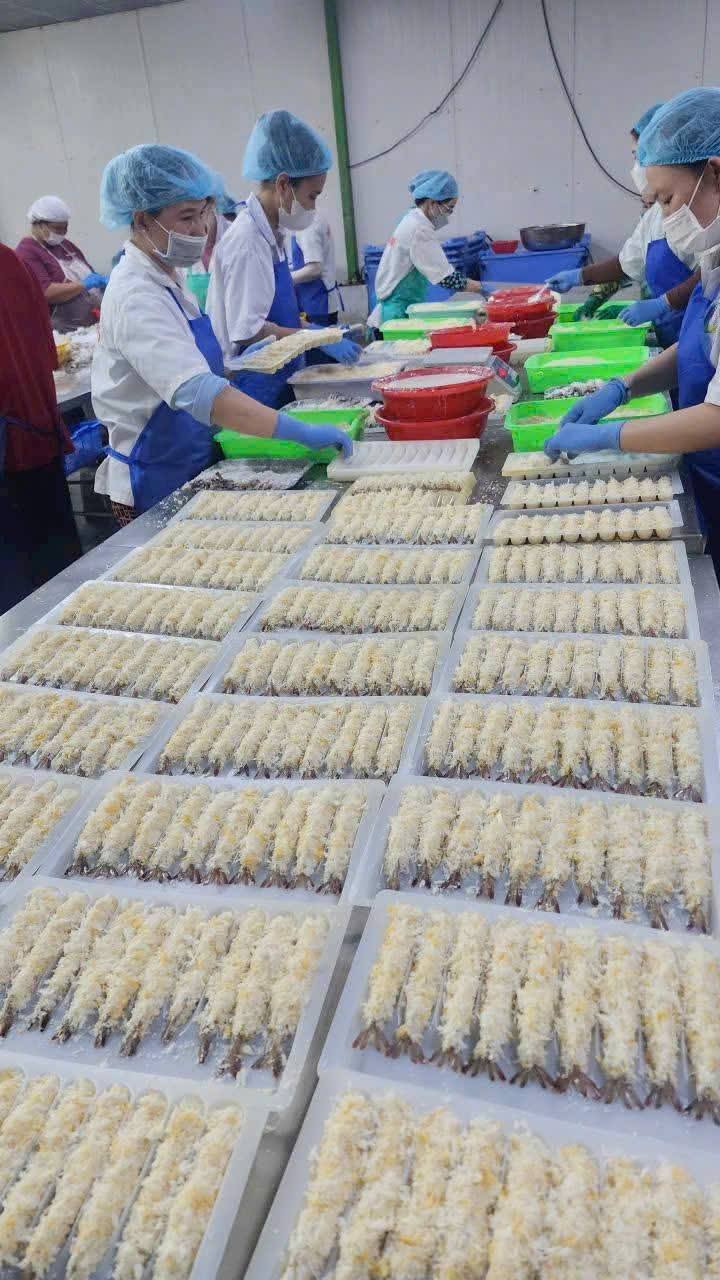 Đội ngũ